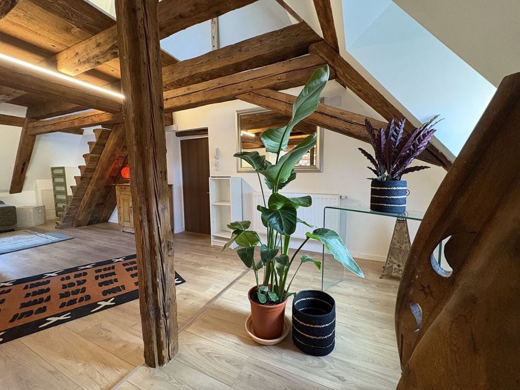 Appartement Loft OBERNAI (67210) CléMat'im